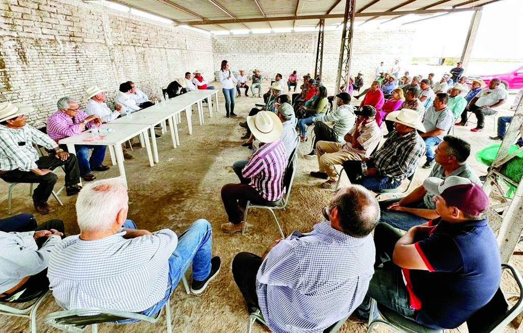Refuerza Lupita el proyecto ciudadano