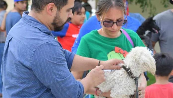 En el Centro de Salud de Nava Realizan campaña de salud para mascotas