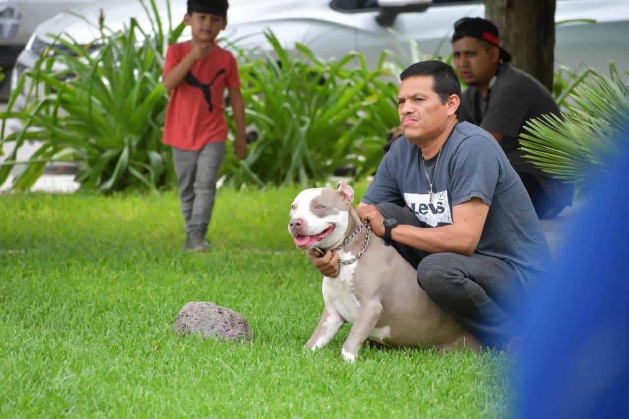 En el Centro de Salud de Nava Realizan campaña de salud para mascotas
