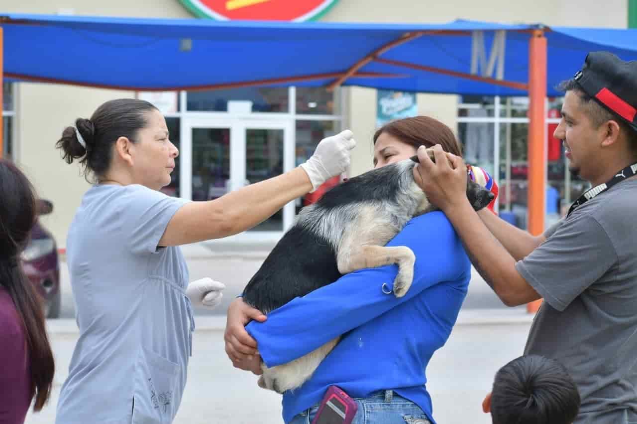 En el Centro de Salud de Nava Realizan campaña de salud para mascotas