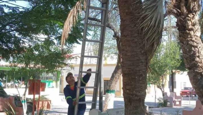 En San Buena limpian espacios públicos