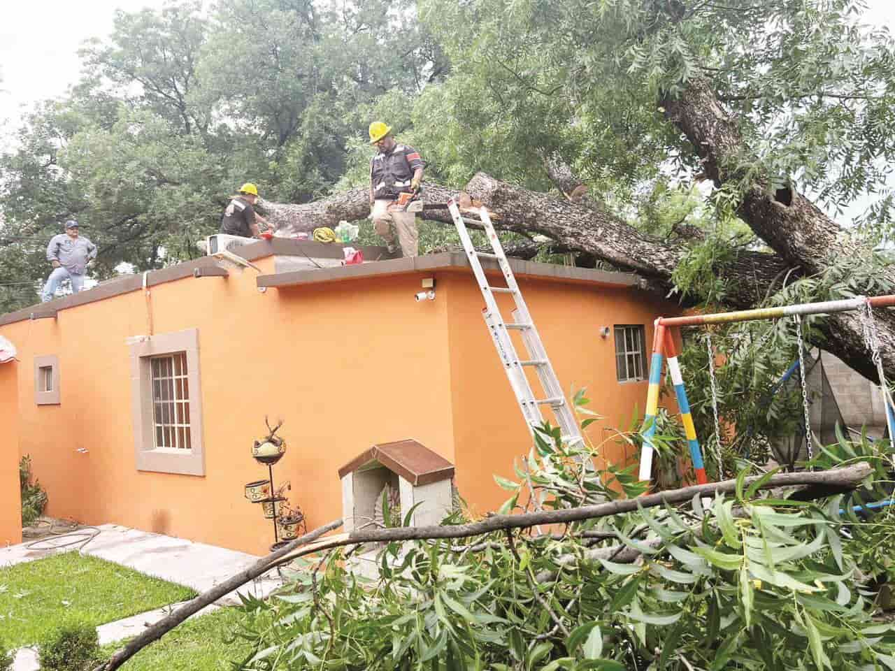 Sacuden lluvias a Múzquiz
