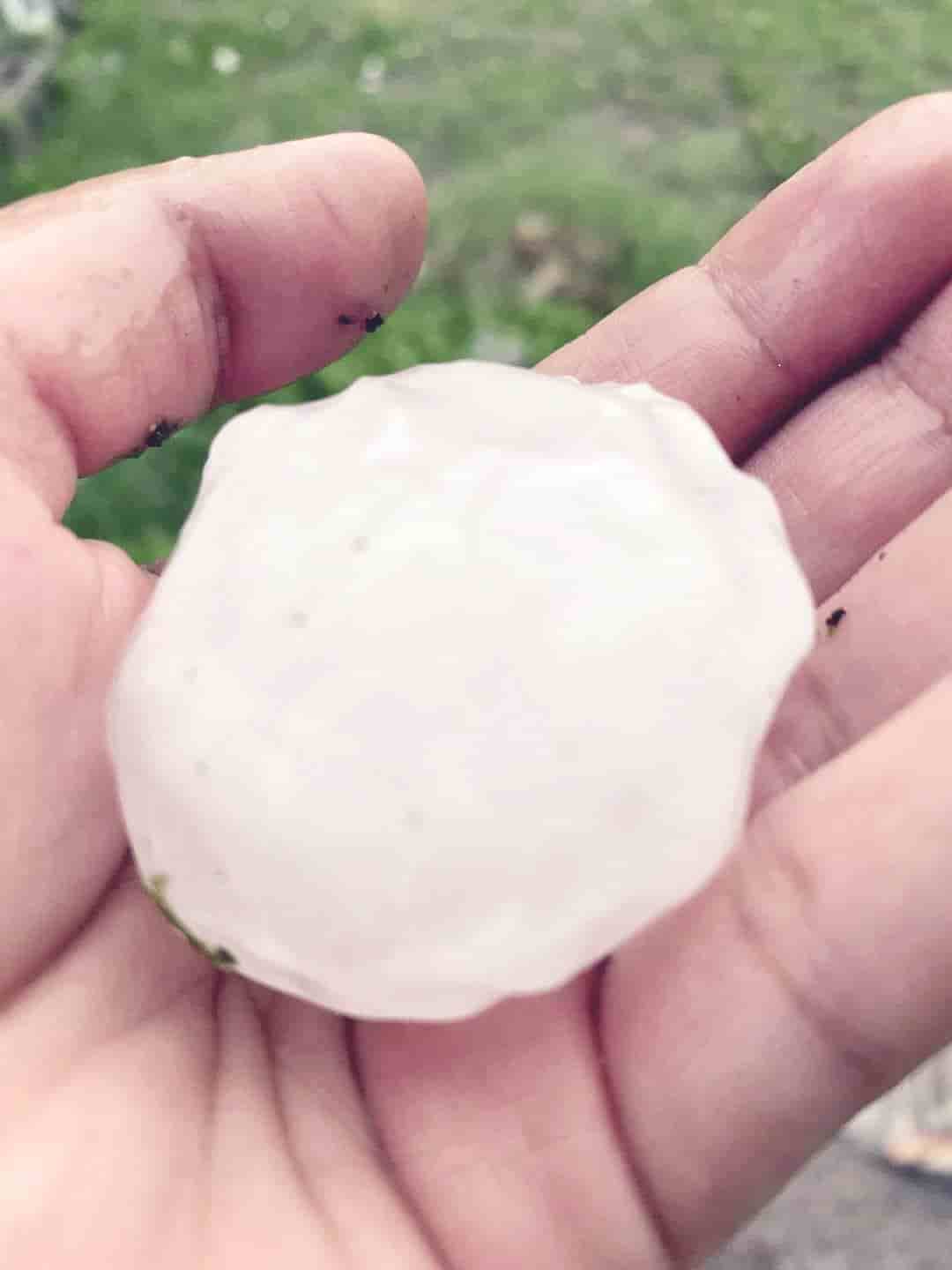 En la región centro Sorprende granizada