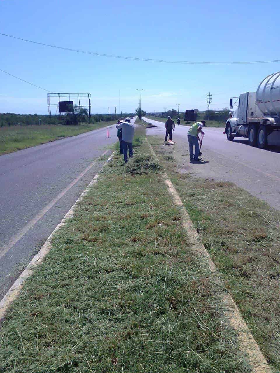 Cambian imagen; reforestan áreas