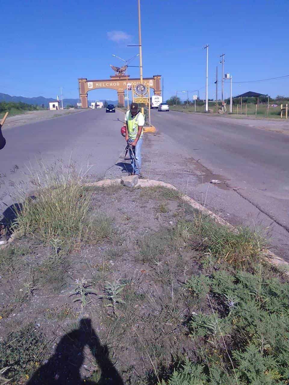 Cambian imagen; reforestan áreas
