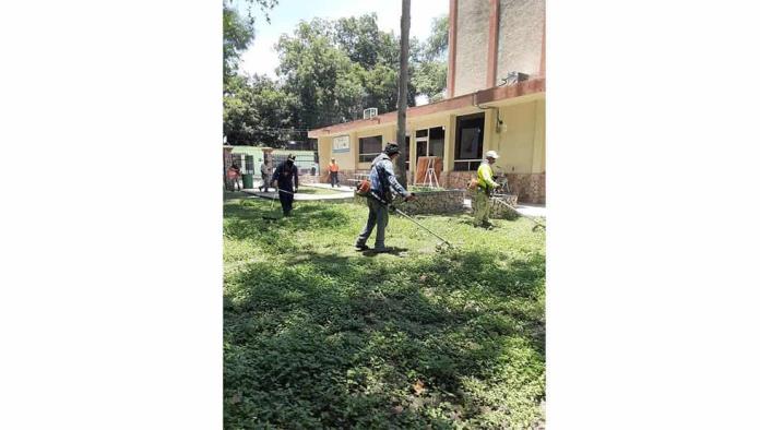 Cambian imagen; reforestan áreas