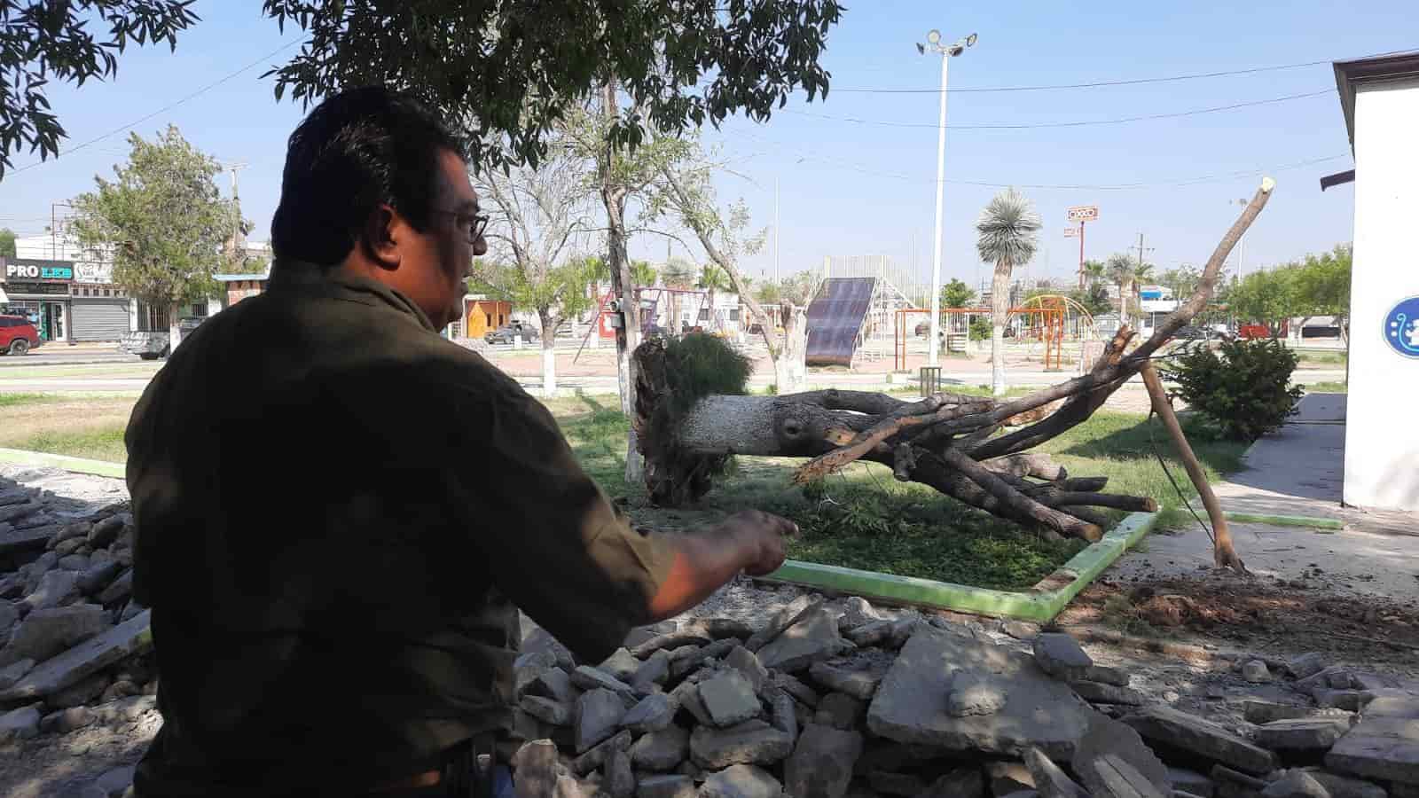 Supervisa alcalde plaza de “la Occi”