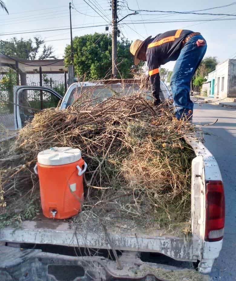 Por petición de la ciudadanía, realizan mantenimiento en espacios públicos de Allende