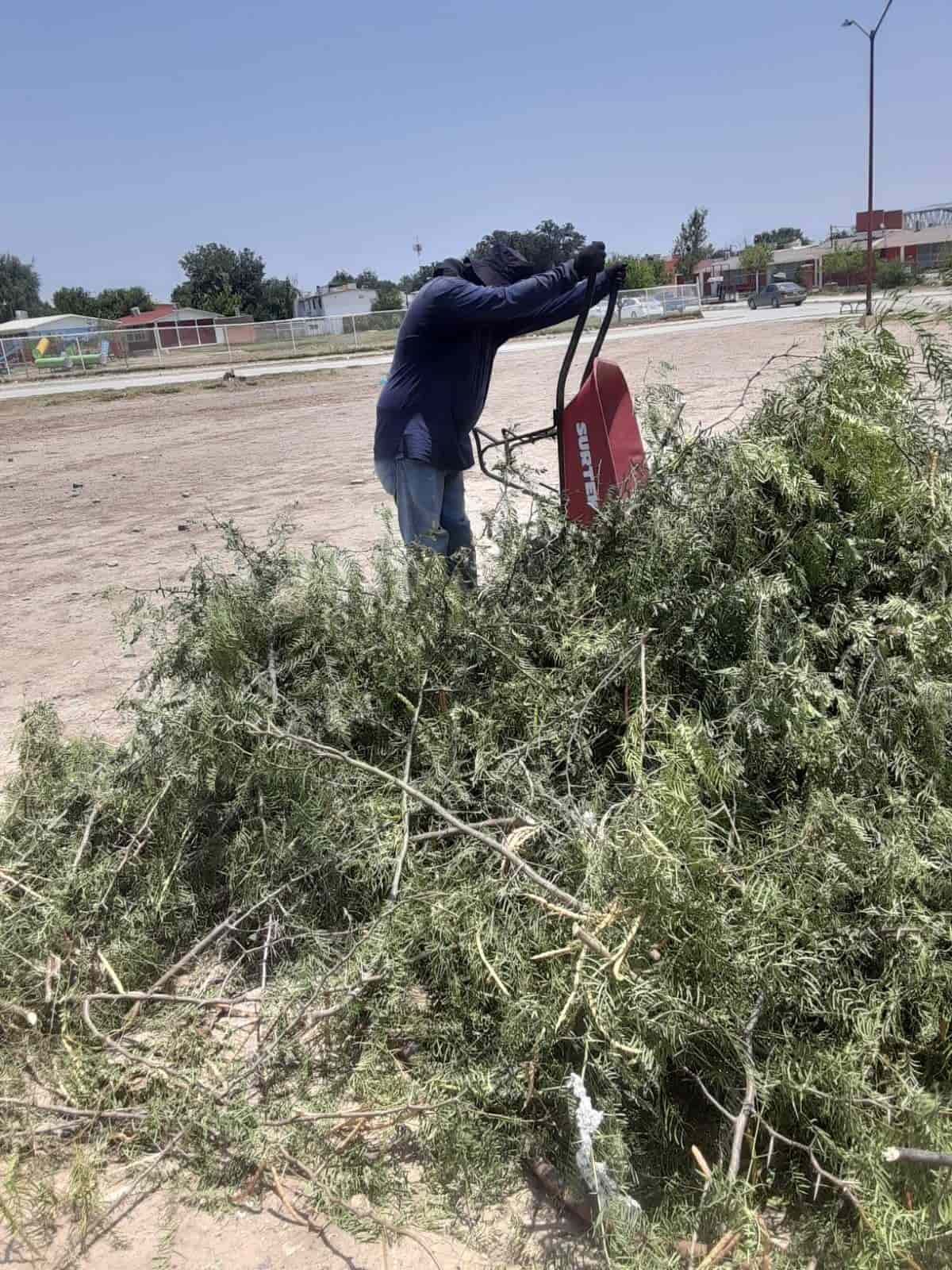 Mantiene Sabinas su línea abierta