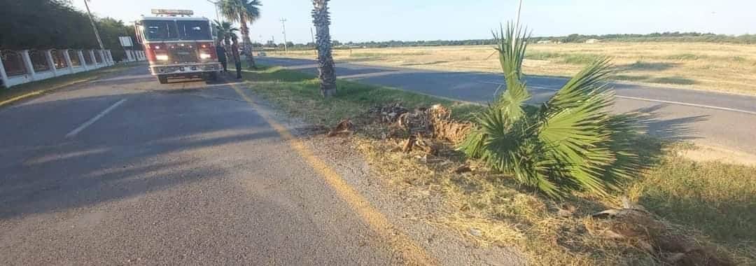 Choca contra palma y abandona su auto en carretera Morelos - Zaragoza