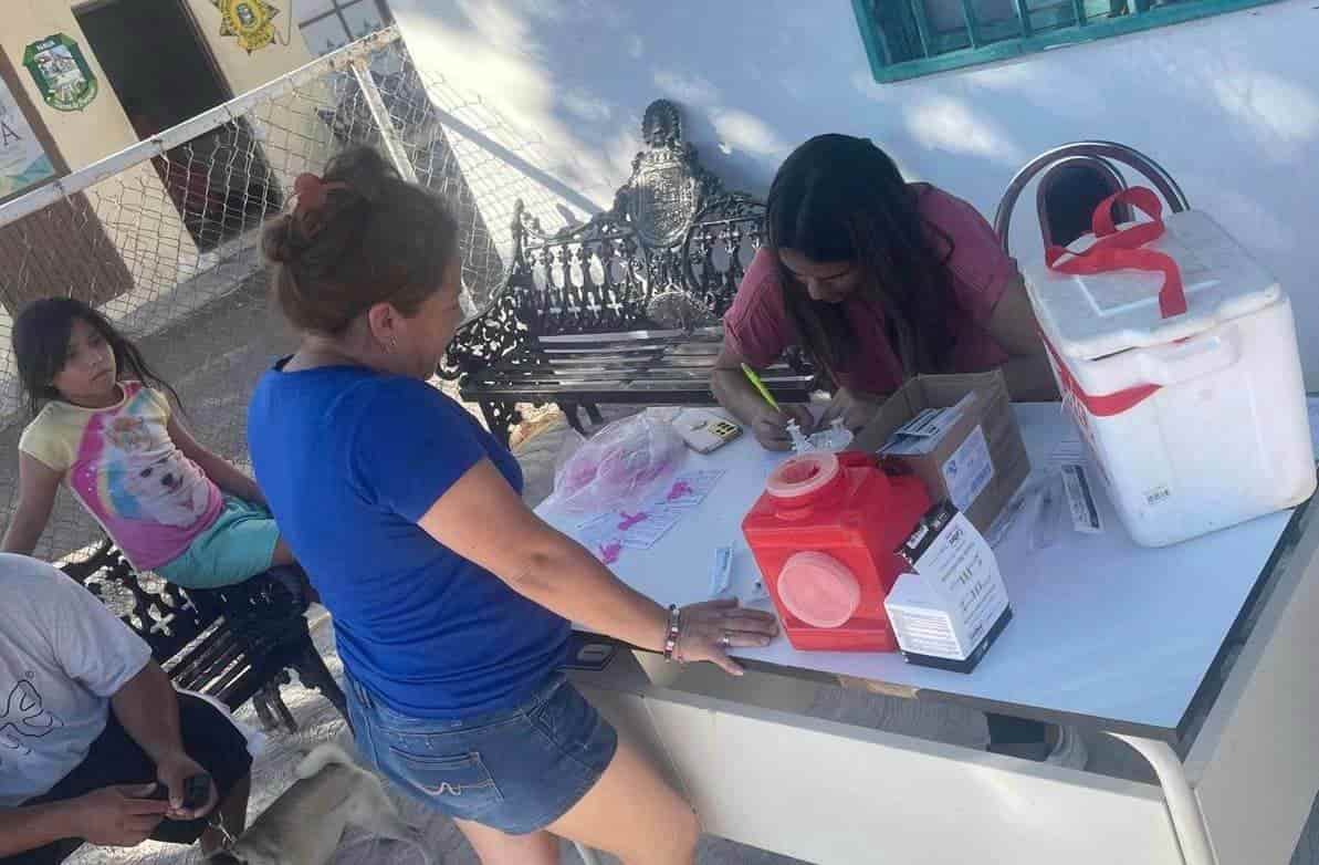 Realizan campaña de rickettsiosis en delegación V. Carranza para perros y gatos