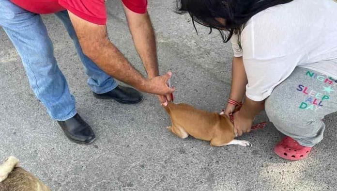 Vuelve vacunación; acuden a plaza Santa Teresa