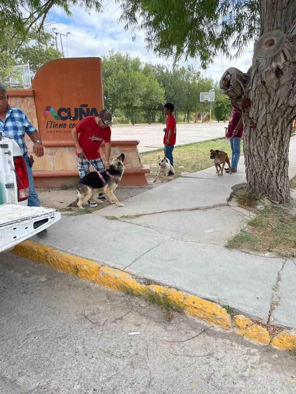 Vuelve vacunación; acuden a plaza Santa Teresa