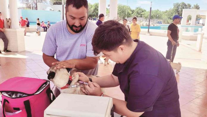 Previenen  rickettsia  y dengue