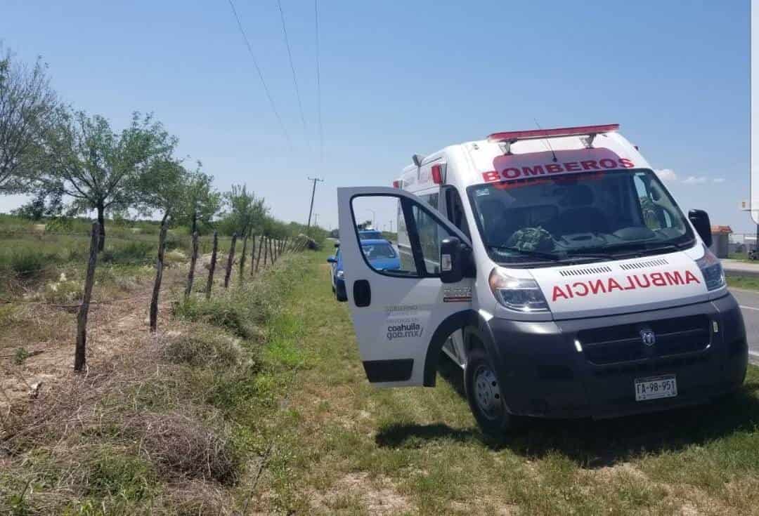 Alertan por vacas sobre la carretera 29