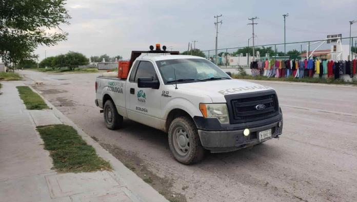 Realizan fumigaciones en Nava