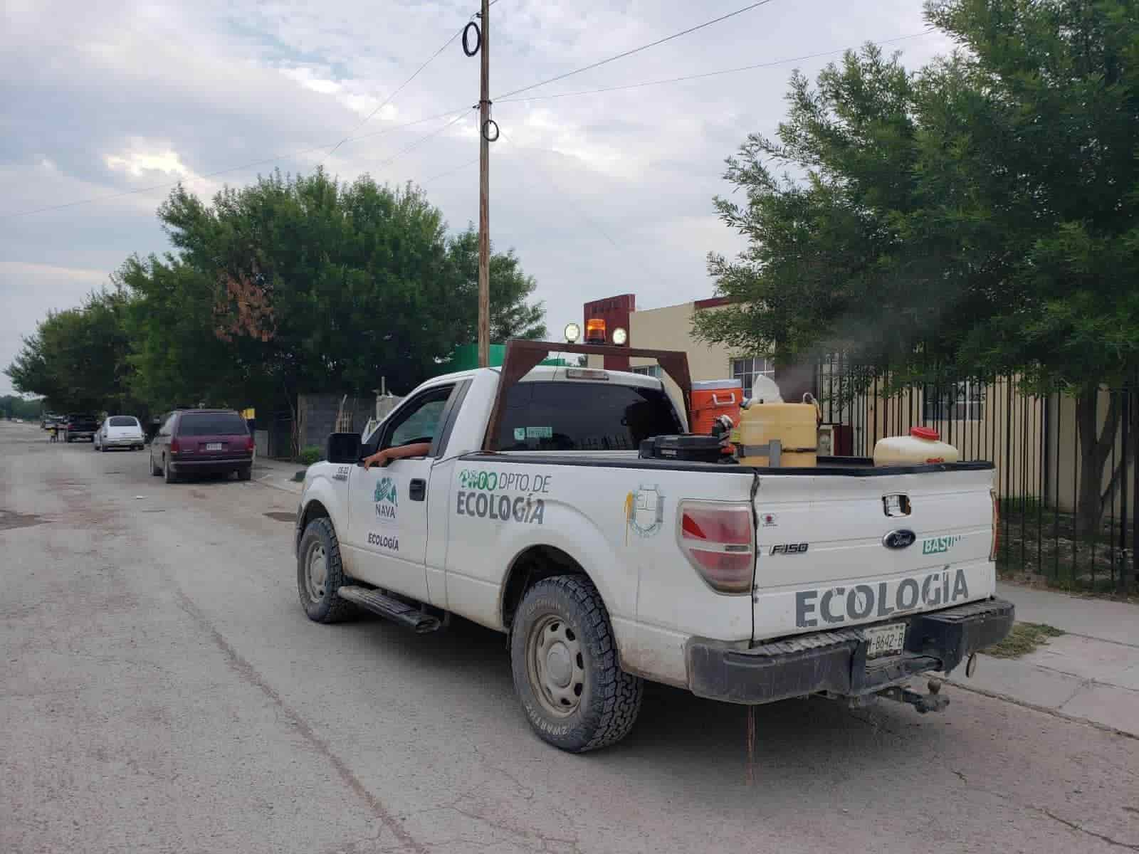 Realizan fumigaciones en Nava