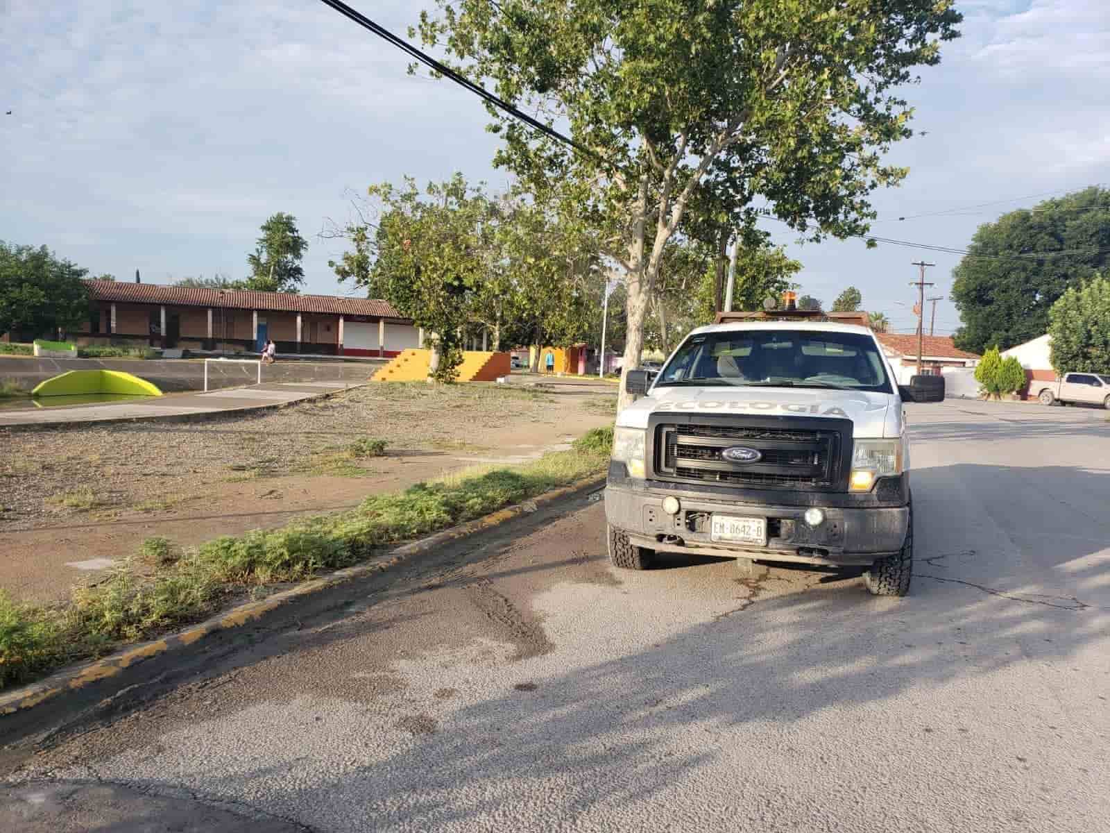 Realizan fumigaciones en Nava
