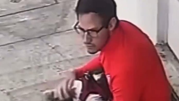 Captan hombre dando de puñetazos a su perro en la CDMX