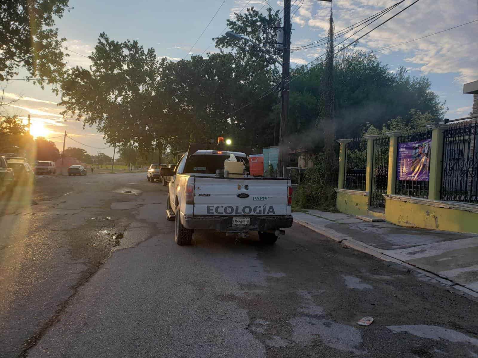 Lluvia retrasa fumigaciones  