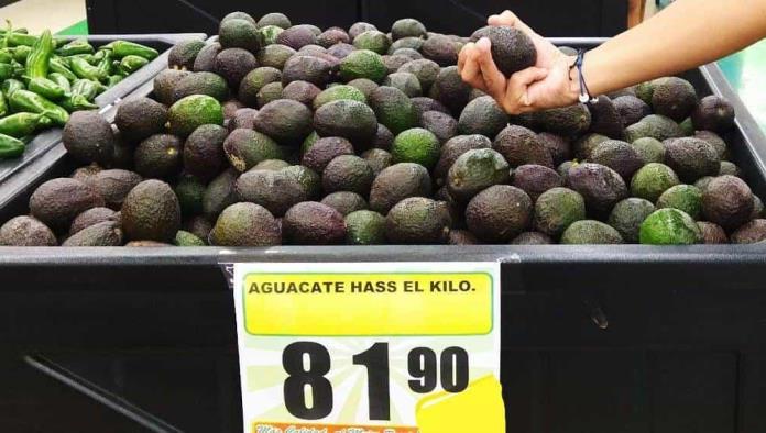 Sube 15 por ciento costo del aguacate