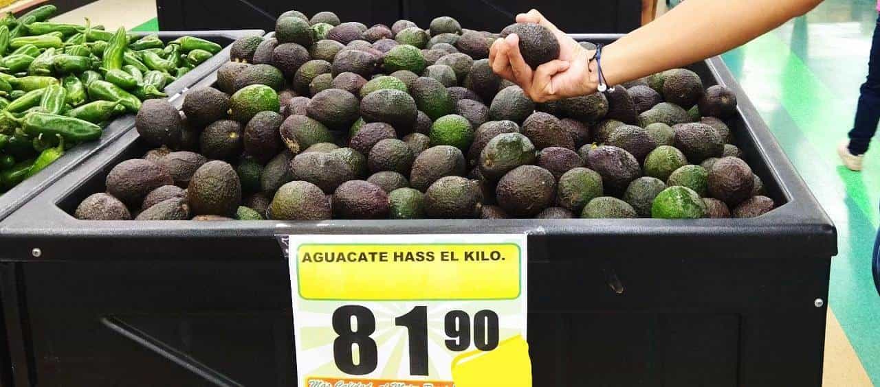 Sube 15 por ciento costo del aguacate