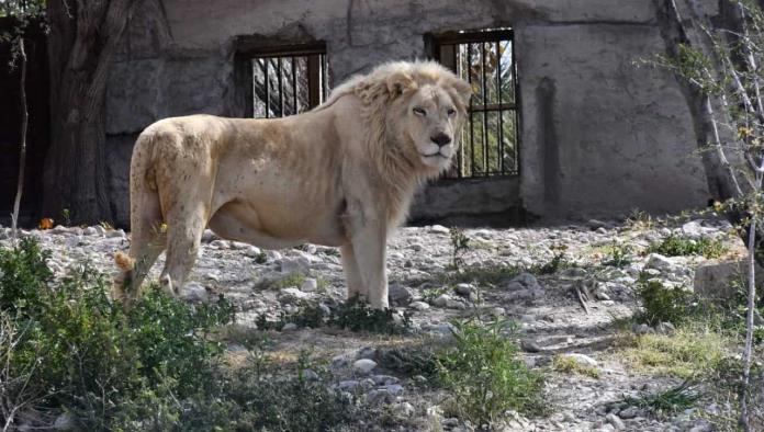 Listo el zoológico para vacacionistas