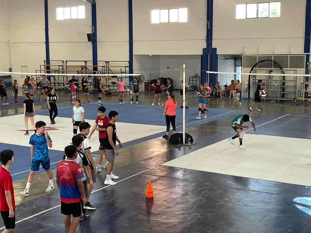 Sigue con éxito Campamento de verano de voleibol