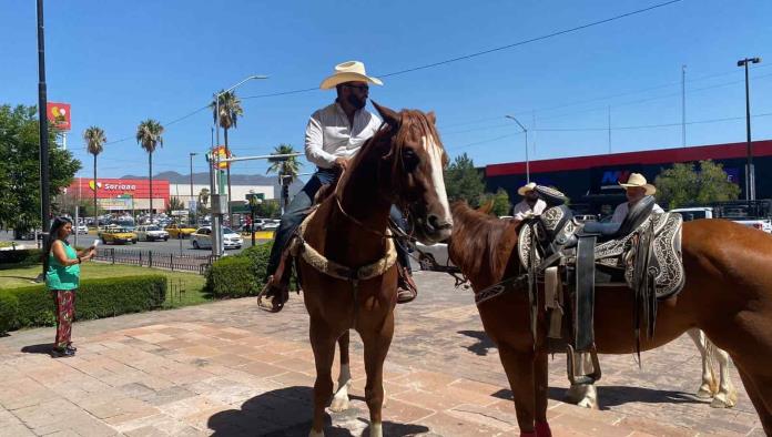 Urgen veterinarios en las Cabalgatas