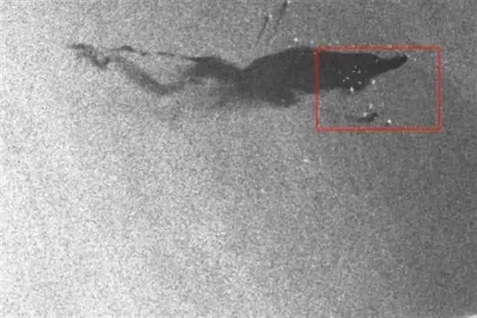 Detectan derrame de petróleo más grande que Guadalajara en el Golfo de México