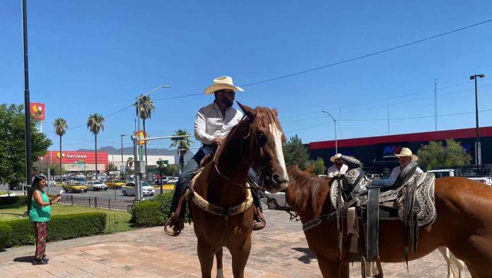 Necesaria presencia de veterinarios en cabalgatas 