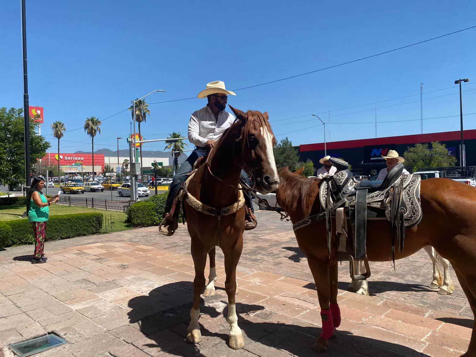 Necesaria presencia de veterinarios en cabalgatas 