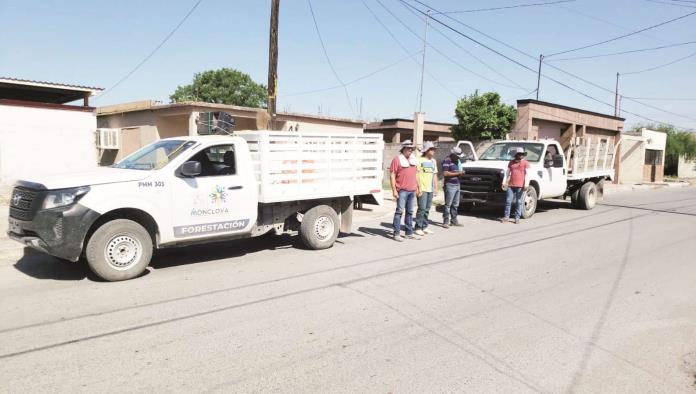 Avanza campaña de descacharrización