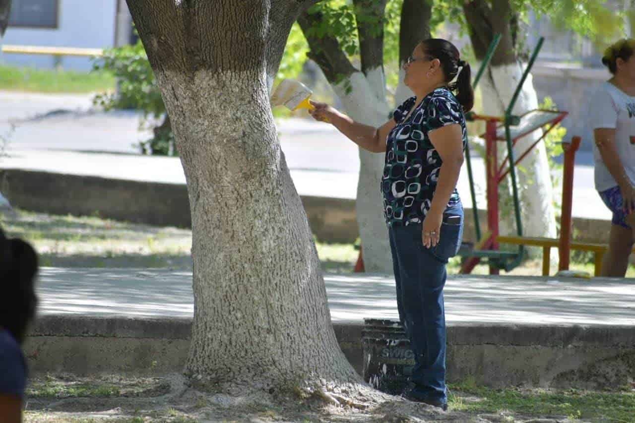 Embellecen vecinos plaza de la Progreso