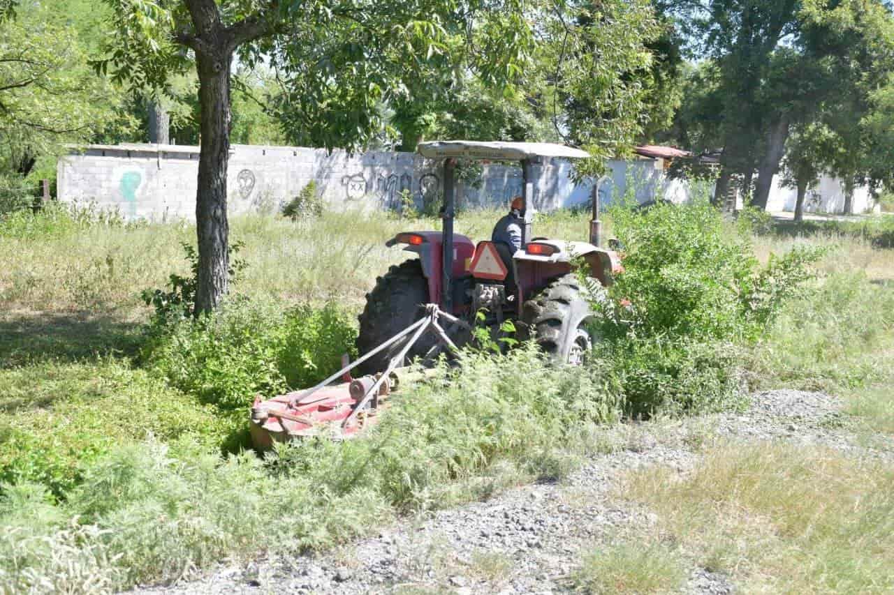 Realizan limpieza en vías ferroviarias