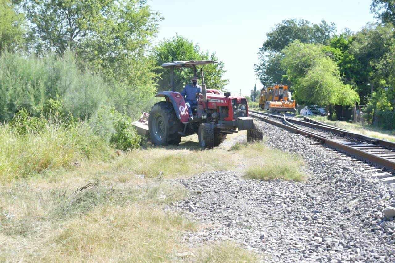 Realizan limpieza en vías ferroviarias