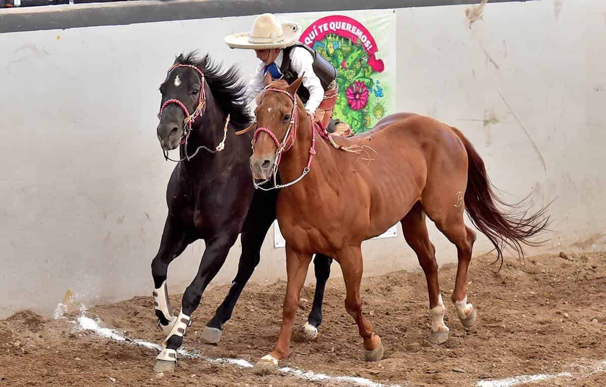 Charros de Coahuila están en acción