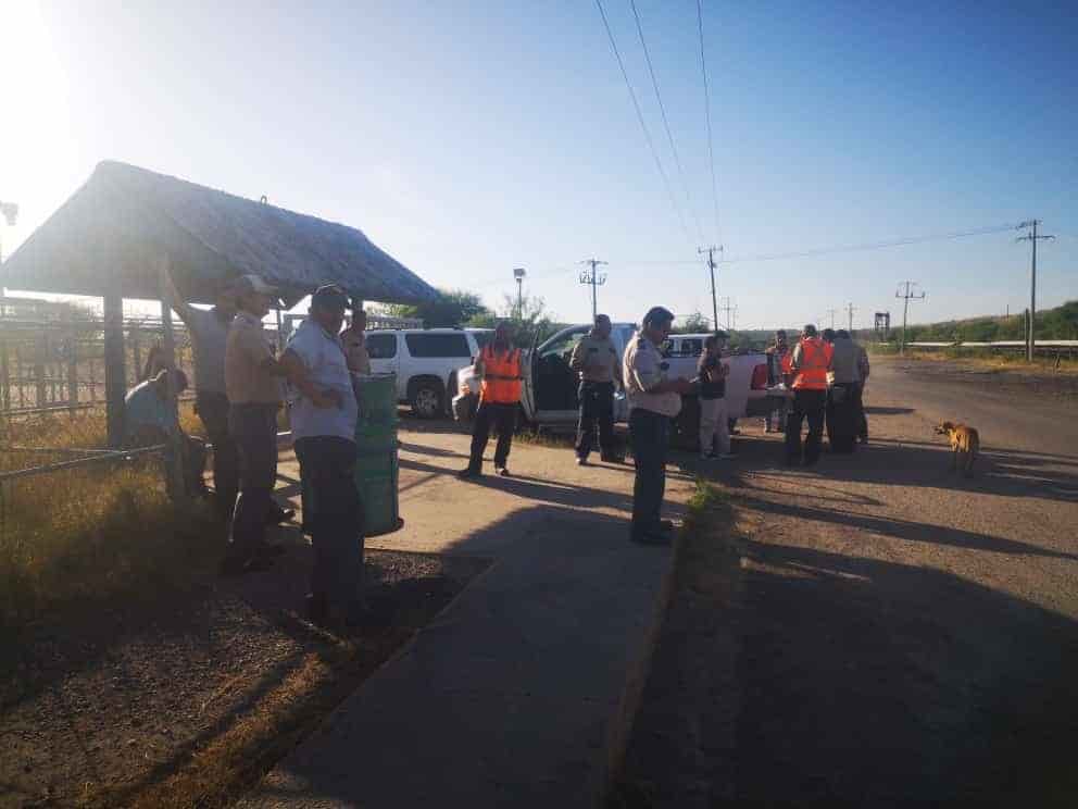 También la planta lavadora