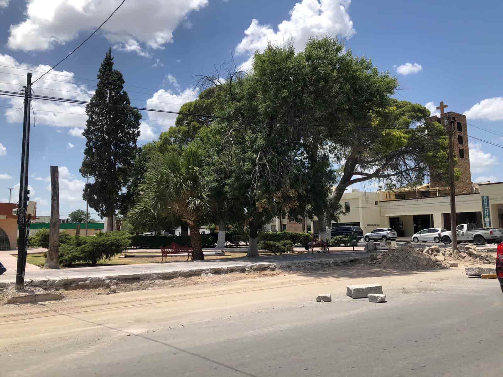 Cambian áreas verdes por estacionamientos