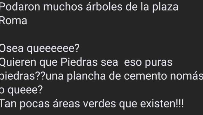 Cambian áreas verdes por estacionamientos