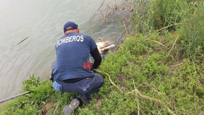 Encuentran 2 cuerpos en aguas del río Bravo
