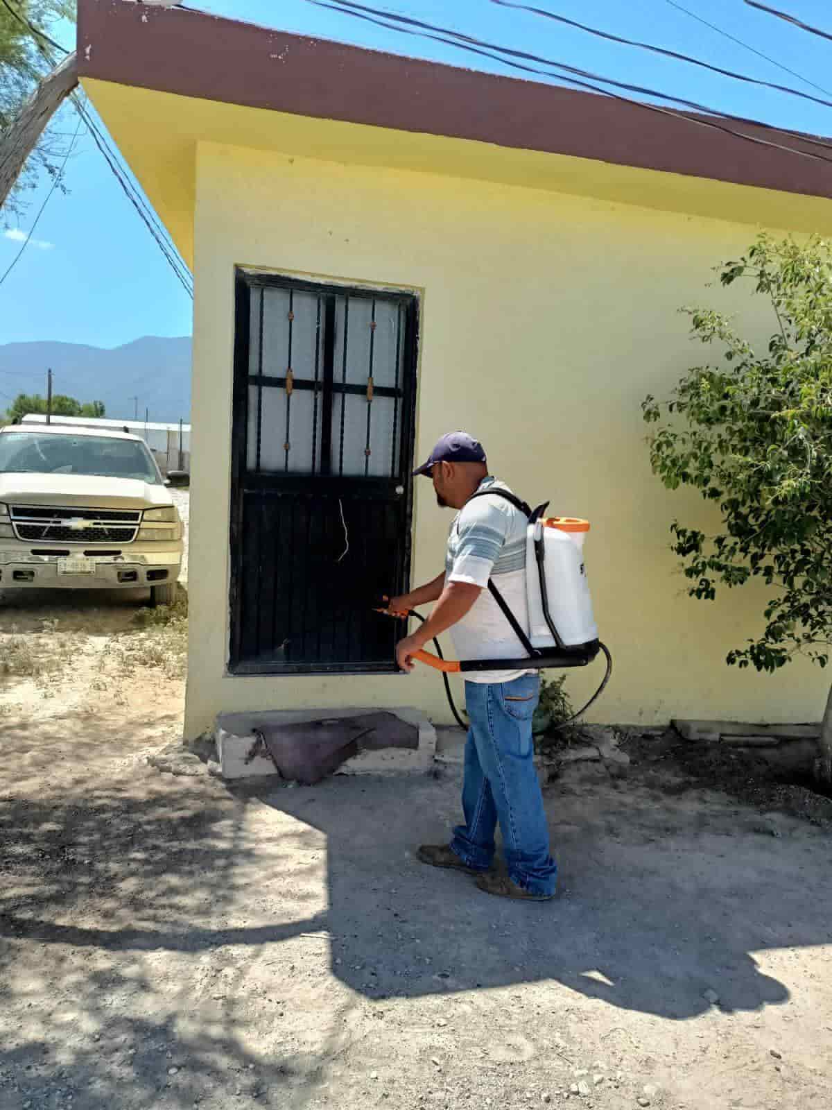 Mantienen acciones contra la rickettsia en Arteaga