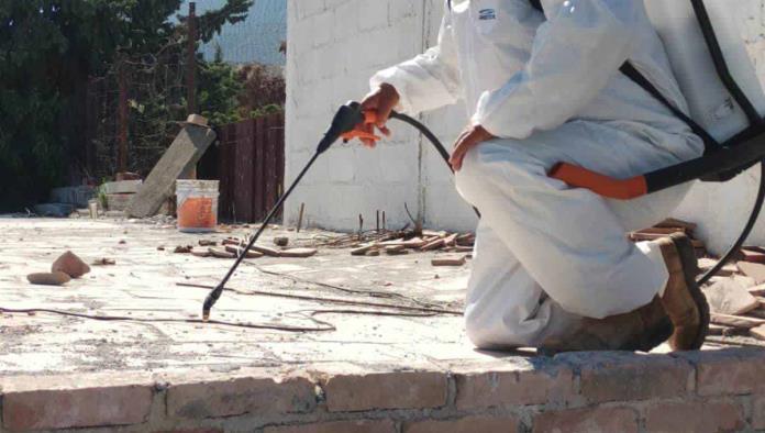 Mantienen acciones contra la rickettsia en Arteaga