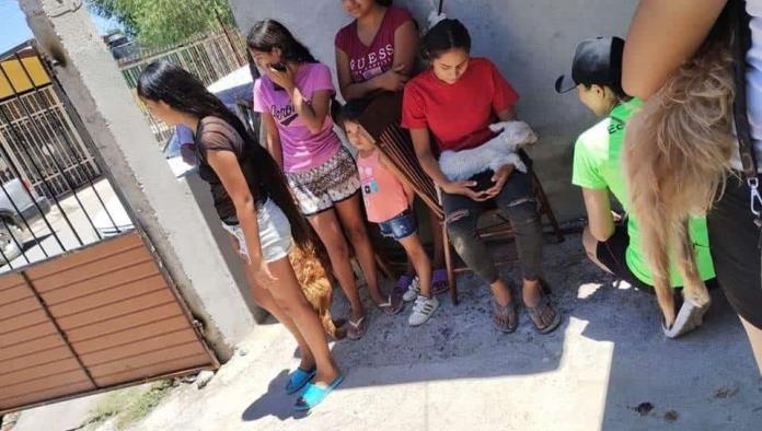Programan 2ª campaña Antirrábica