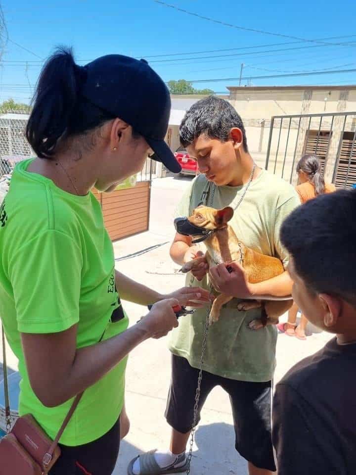 Programan 2ª campaña Antirrábica