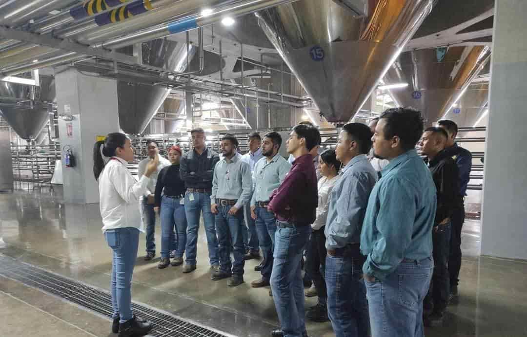 Mejora UTRCC Licenciaturas