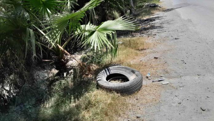 Piden apoyo para fumigar los yonkes