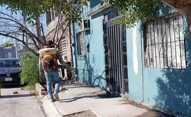 No hay rickettsia en Piedras Negras