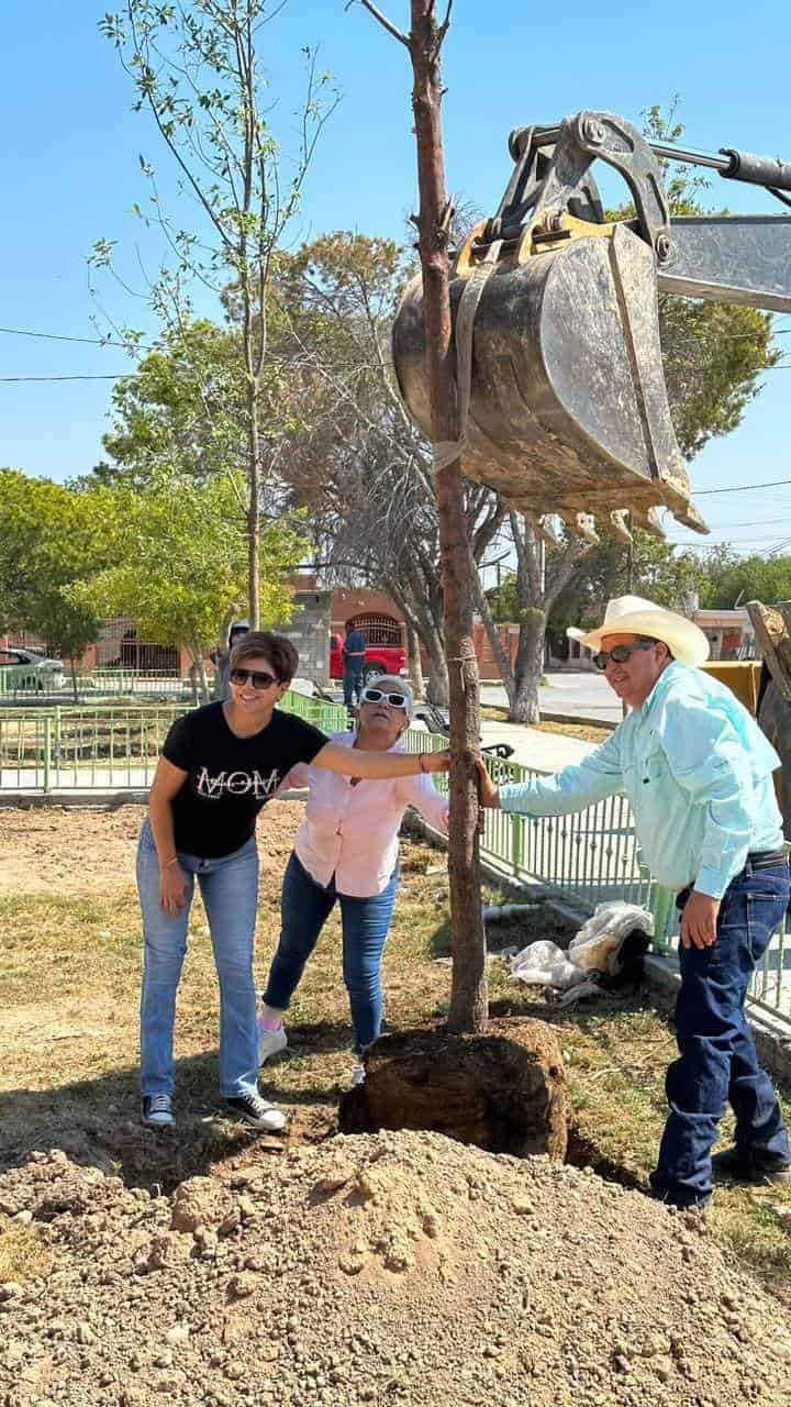 Plantan árboles en el 8 de enero