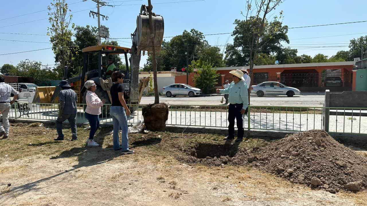 Plantan árboles en el 8 de enero